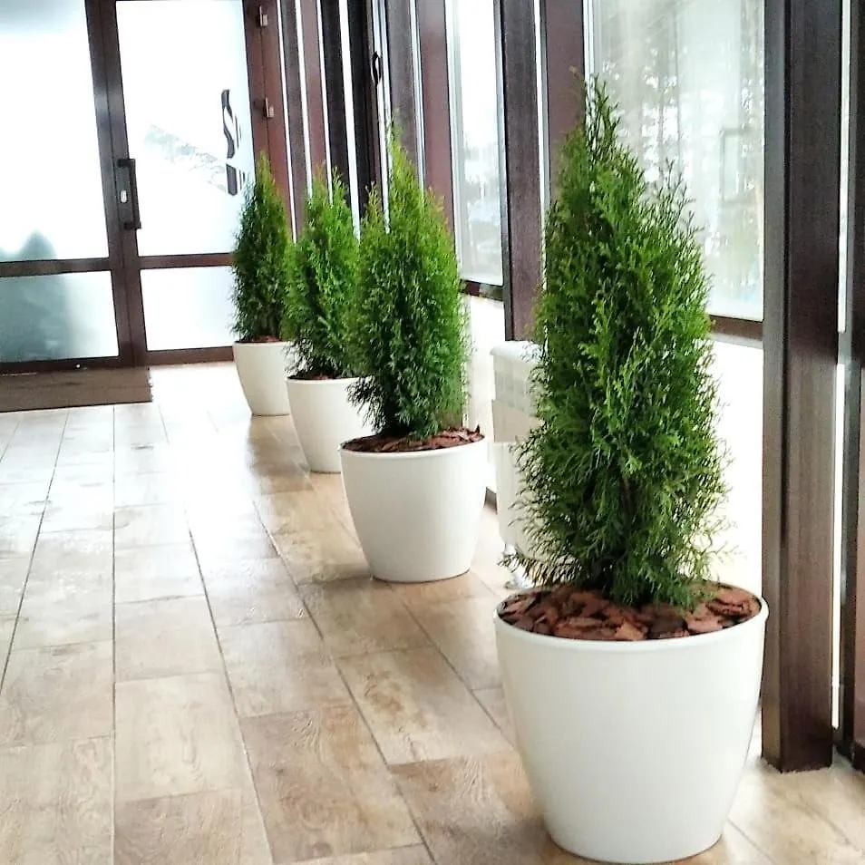 Bakcell Hotel And Guest House Baku 4*,